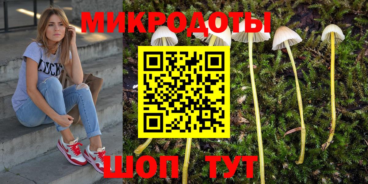 Алексеевка  Псилоцибиновые грибы ЛСД  Вход с VPN 