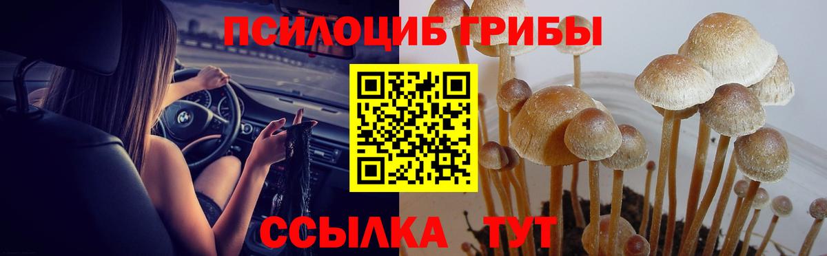 Псилоцибиновые грибы мухоморы Алексеевка